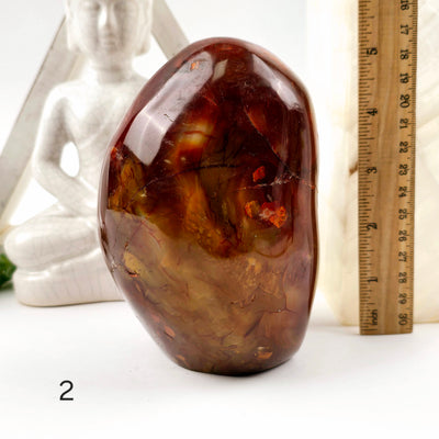 Carnelian Polished Freeform Cut Base - You Choose variant 2 labeled with ruler for size reference