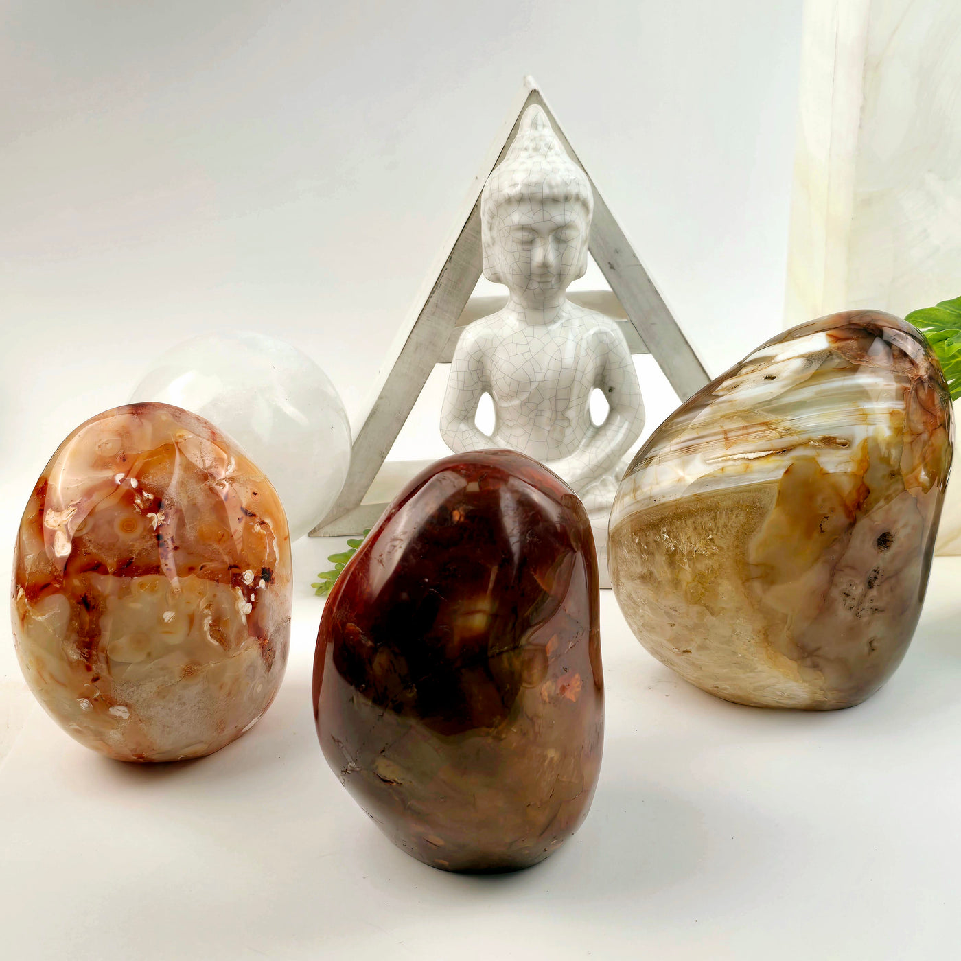 Carnelian Polished Freeform Cut Base - You Choose all variants with props and plants in the background