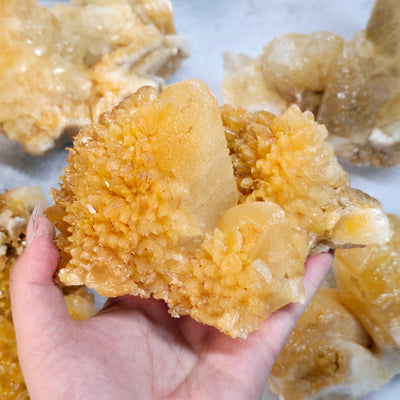 Dogtooth Calcite Crystal Cluster - You Choose #1 variant B in hand for size reference with other variants in the background