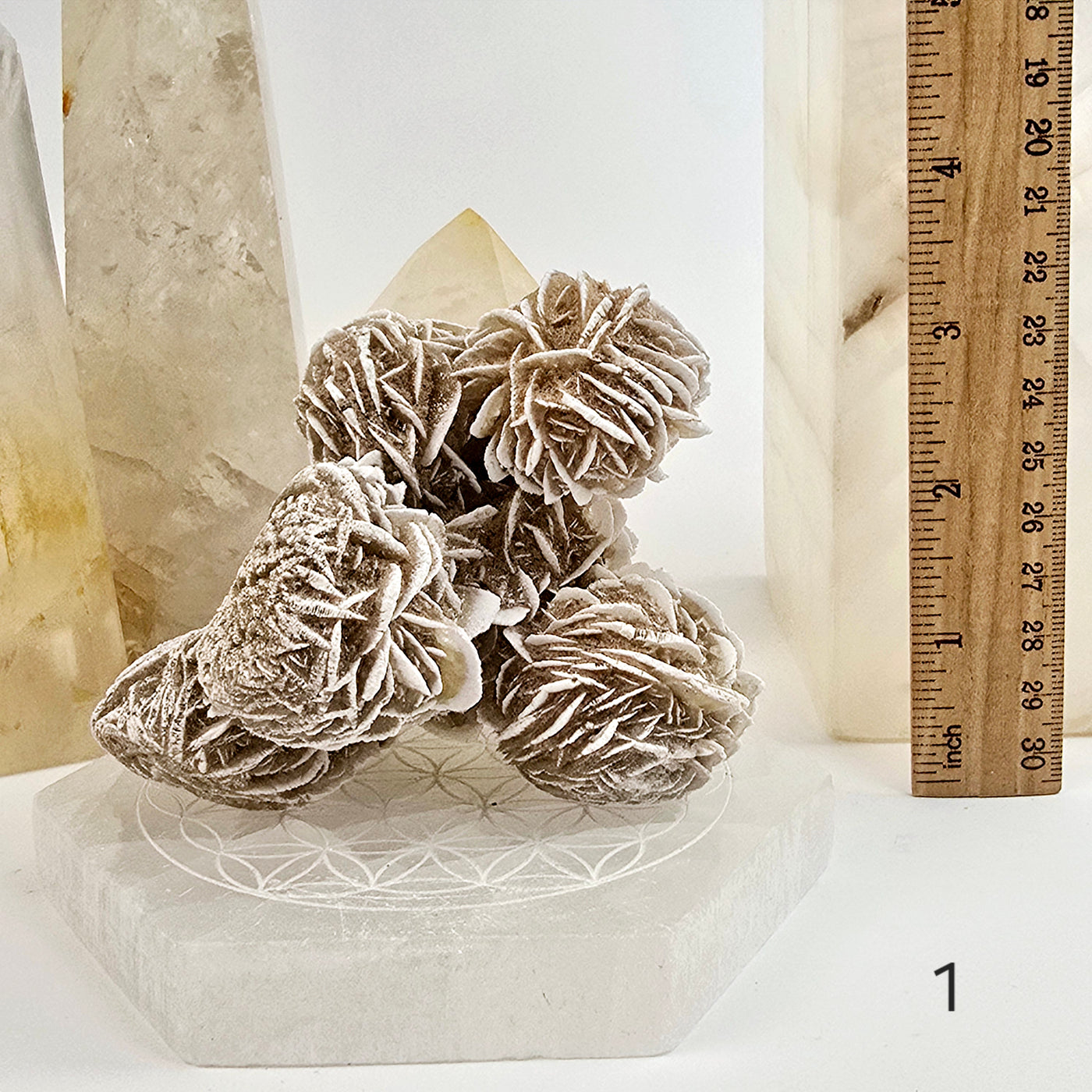 Desert Rose - Sand Rose - Gypsum Rosette - Crystal Cluster - You Choose variant 1 labeled with ruler for size reference