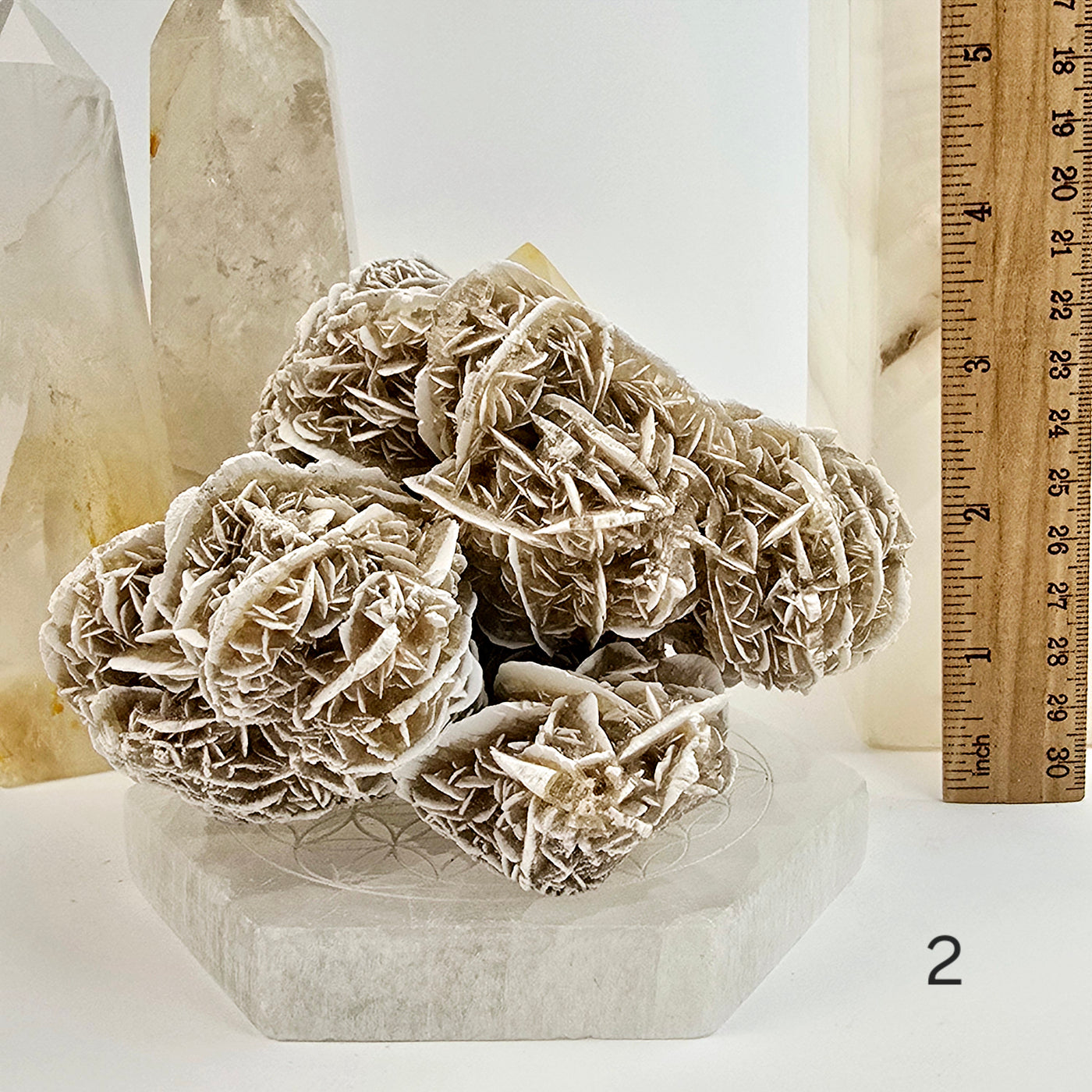 Desert Rose - Sand Rose - Gypsum Rosette - Crystal Cluster - You Choose variant 2 labeled with ruler for size reference