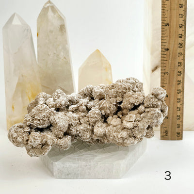 Desert Rose - Sand Rose - Gypsum Rosette - Crystal Cluster - You Choose variant 3 labeled with ruler for size reference