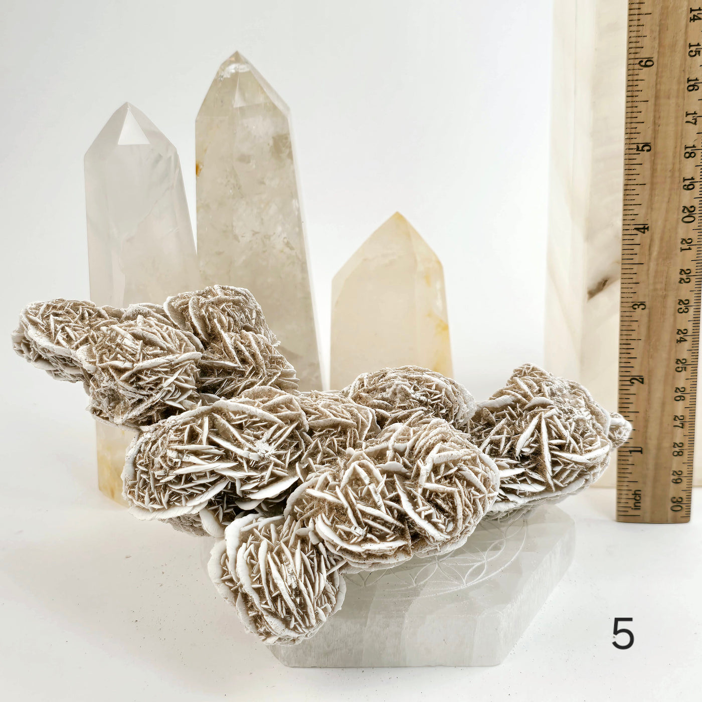 Desert Rose - Sand Rose - Gypsum Rosette - Crystal Cluster - You Choose variant 5 labeled with ruler for size reference