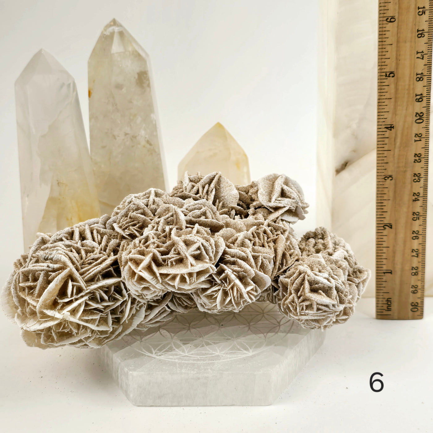 Desert Rose - Sand Rose - Gypsum Rosette - Crystal Cluster - You Choose variant 6 labeled with ruler for size reference