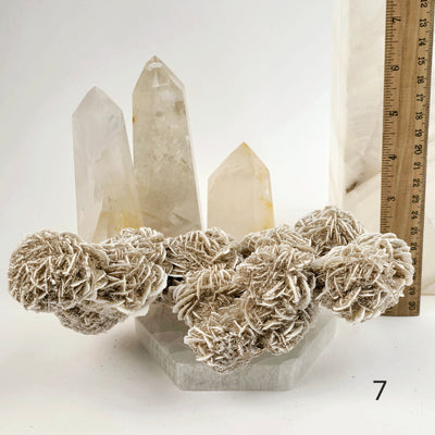 Desert Rose - Sand Rose - Gypsum Rosette - Crystal Cluster - You Choose variant 7 labeled with ruler for size reference