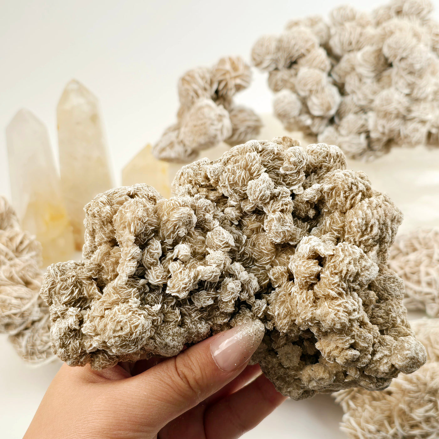 Desert Rose - Sand Rose - Gypsum Rosette - Crystal Cluster - You Choose variant 3 in hand for size reference with other variants in the background