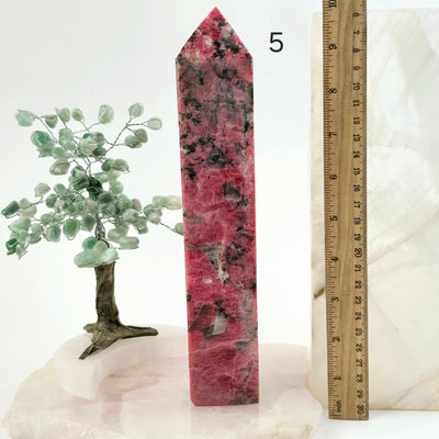 Rhodonite Polished Crystal Tower - You Choose #2 variant 5 labeled with ruler for size reference