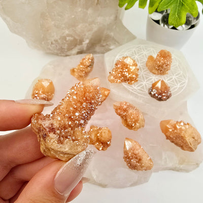 Sunshine Cactus Quartz - Spirit Quartz Crystal Cluster one in hand for size reference with others in the background on stone platters with plants and props in the background