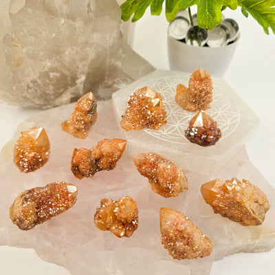 Sunshine Cactus Quartz - Spirit Quartz Crystal Cluster eleven shown on stone platters with plants and props in the background