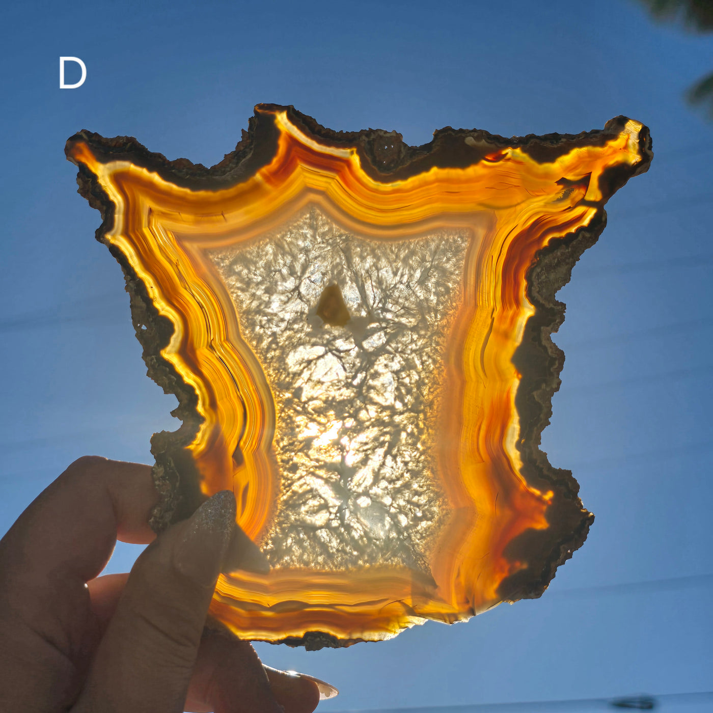 Agate Slice - Irregular Freeform Agate Crystal Slice - You Choose variant D backlit in hand for size reference