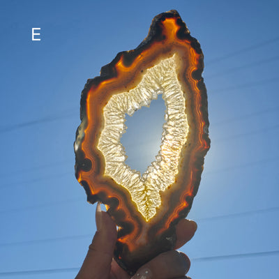 Agate Slice - Irregular Freeform Agate Crystal Slice - You Choose variant E backlit in hand for size reference