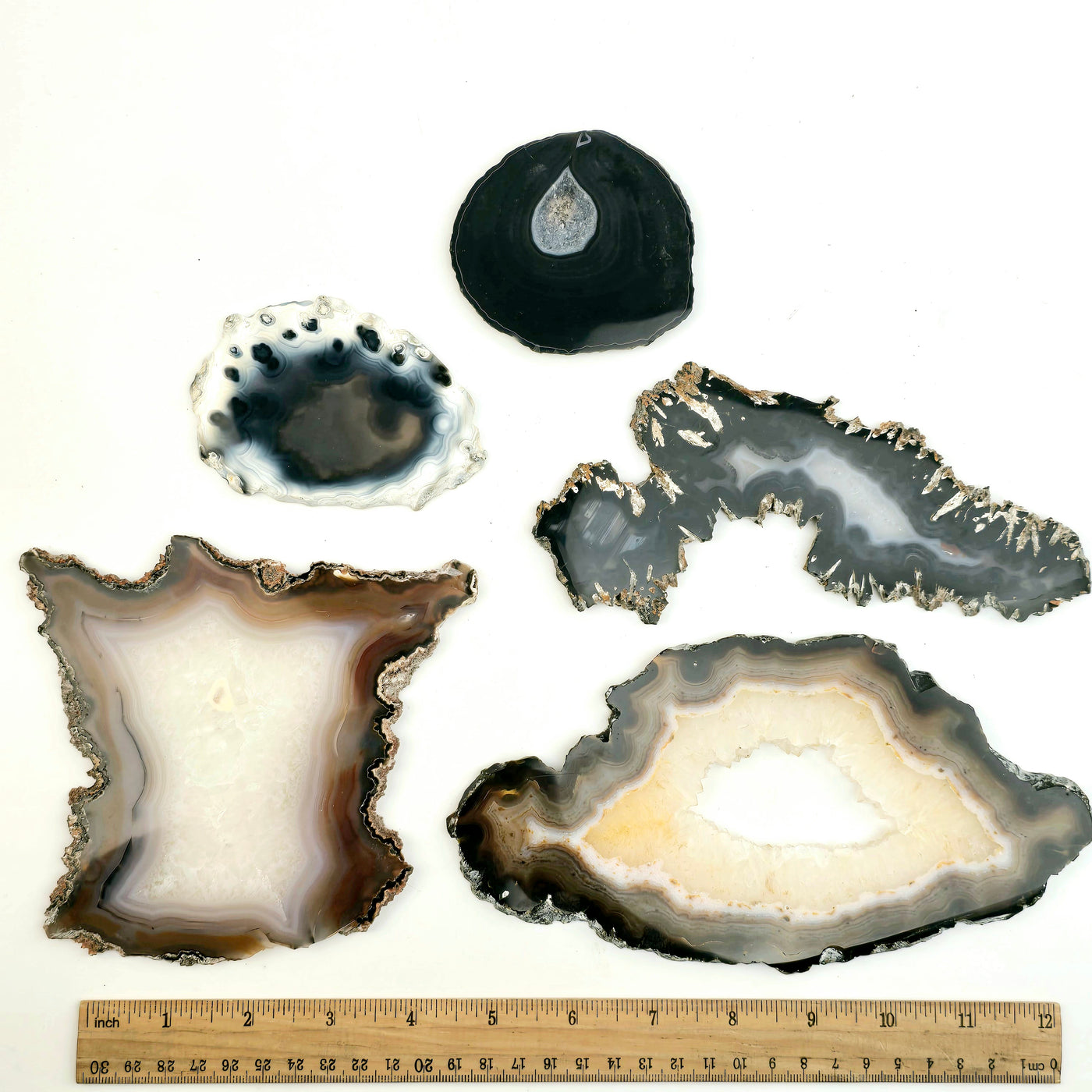 Agate Slice - Irregular Freeform Agate Crystal Slice - You Choose all variants on white background with ruler for size reference