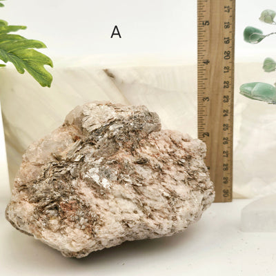 Raw Muscovite Mica Crystal Specimen - You Choose variant A labeled with ruler for size reference