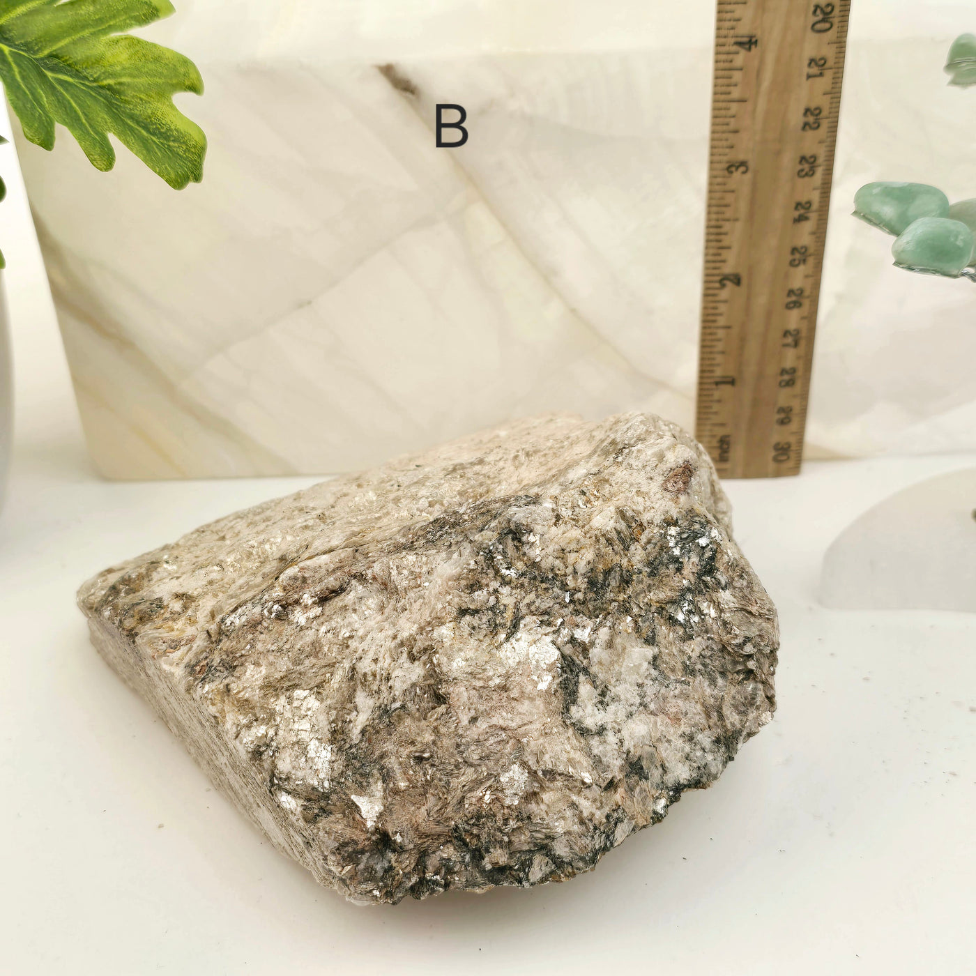 Raw Muscovite Mica Crystal Specimen - You Choose variant B labeled with ruler for size reference