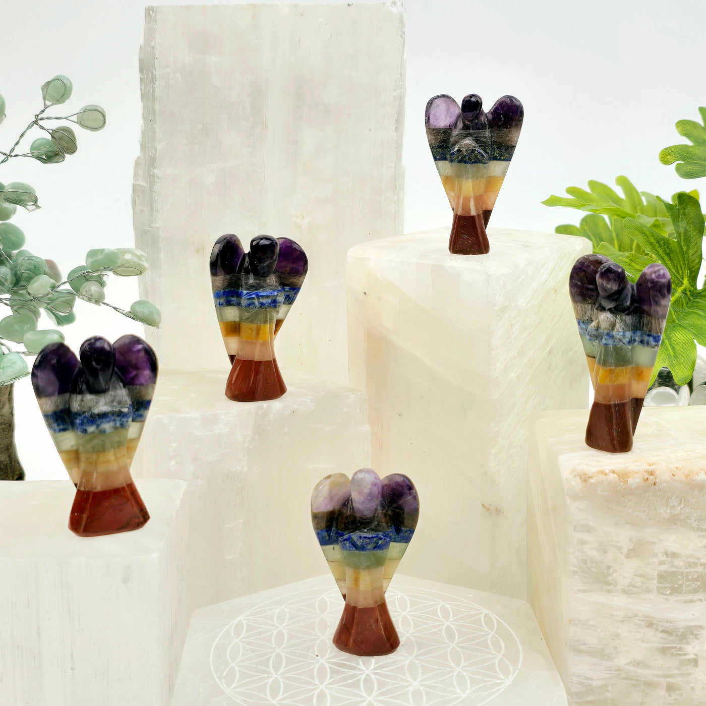 Seven Chakra Crystal Angel five shown on selenite platforms with props and plants in the background