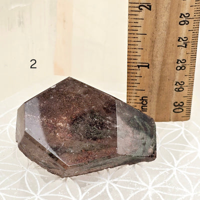 Garden Quartz Lodalite Polished Freeform Crystal - YOU CHOOSE variant 2 labeled with ruler for size reference