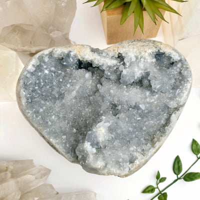 Celestite Large Crystal Heart- One-of-a-Kind top view with props and plants in the background