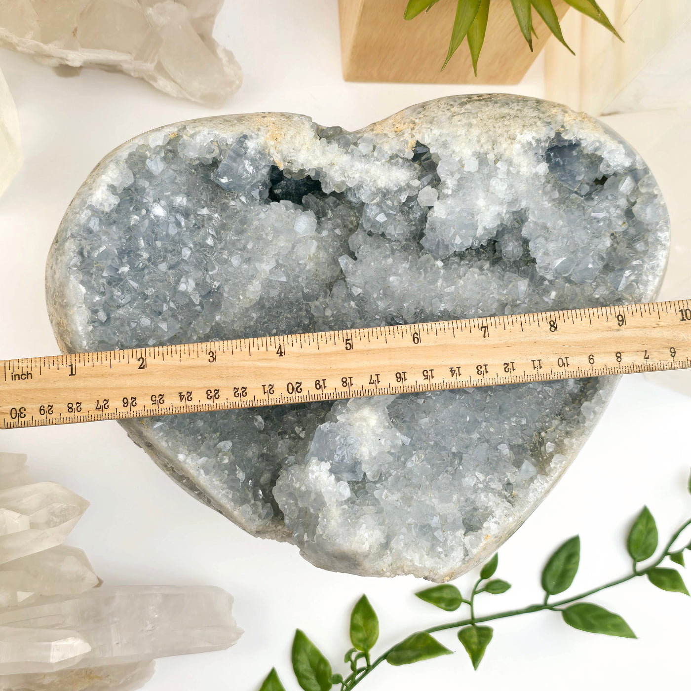 Celestite Large Crystal Heart- One-of-a-Kind with ruler for size reference top view