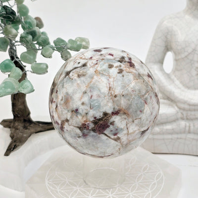 Pink Tourmaline on Aquamarine Crystal Sphere - One-of-a-Kind on sphere stand with props in the background