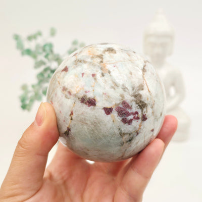 Pink Tourmaline on Aquamarine Crystal Sphere - One-of-a-Kind in hand for size reference with props in the background