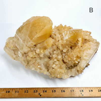 Dogtooth Calcite Large Crystal Cluster - You Choose #1 variant B labeled with ruler for size reference