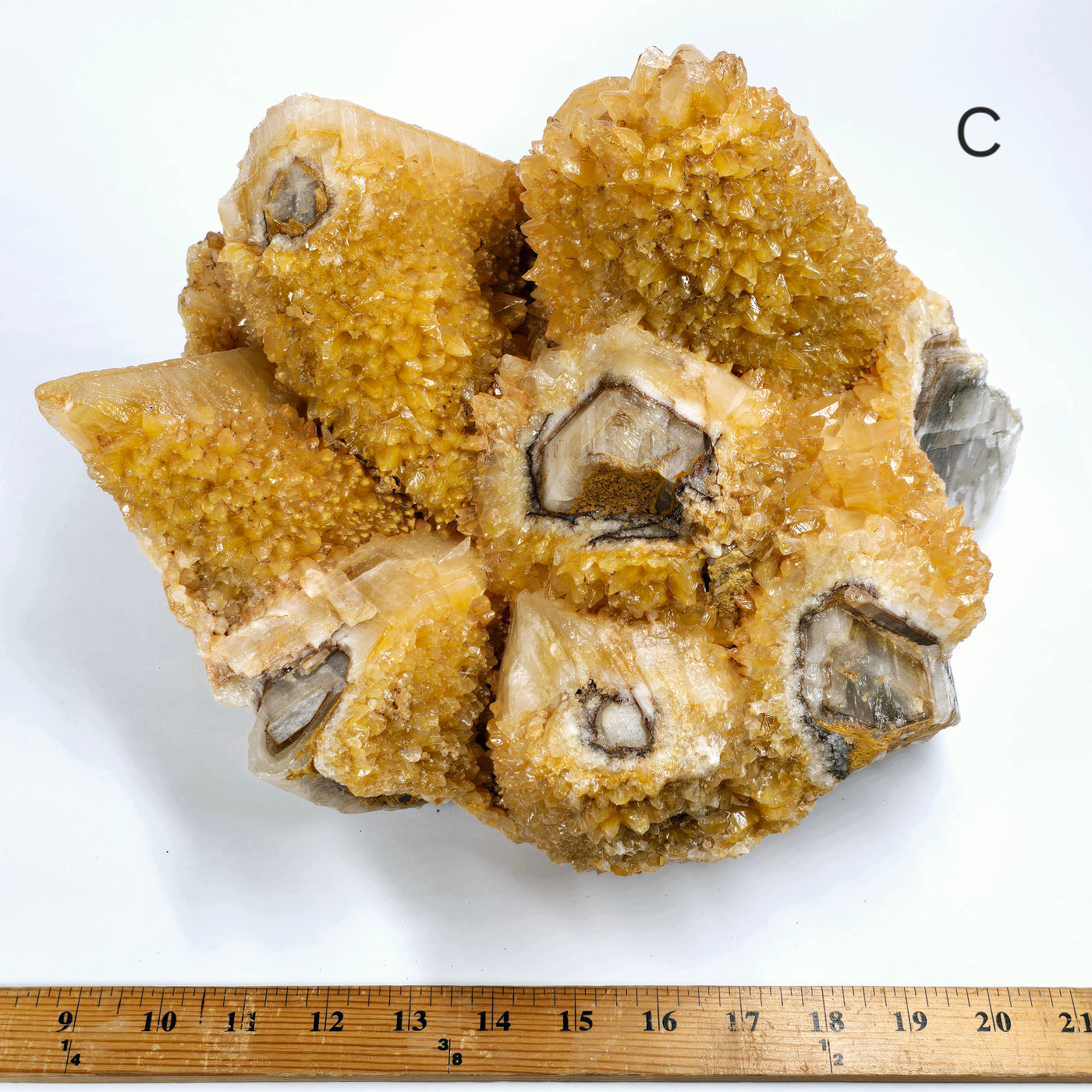 Dogtooth Calcite Large Crystal Cluster - You Choose #1 variant C labeled with ruler for size reference