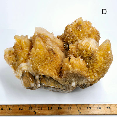 Dogtooth Calcite Large Crystal Cluster - You Choose #1 variant D labeled with ruler for size reference