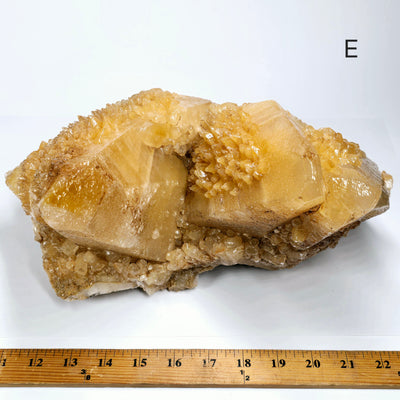 Dogtooth Calcite Large Crystal Cluster - You Choose #1 variant E labeled with ruler for size reference