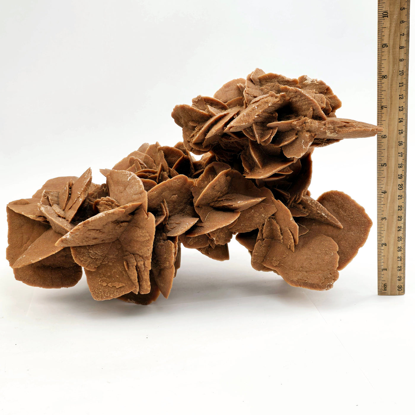 Desert Rose - Sand Rose Crystal Cluster from Morocco #2 front view with ruler for size reference