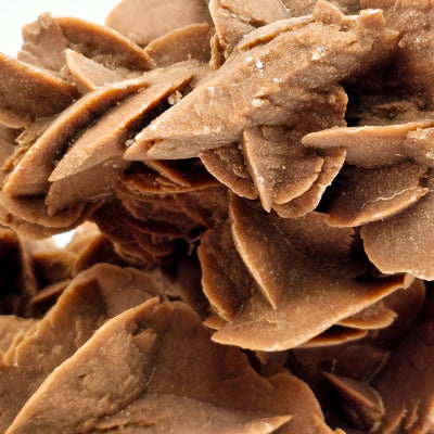 Desert Rose - Sand Rose Crystal Cluster from Morocco #2 closeup for detail