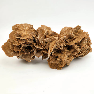 Desert Rose - Sand Rose Crystal Cluster from Morocco #3 back view