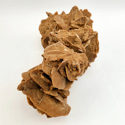 Desert Rose - Sand Rose Crystal Cluster from Morocco #3 side view