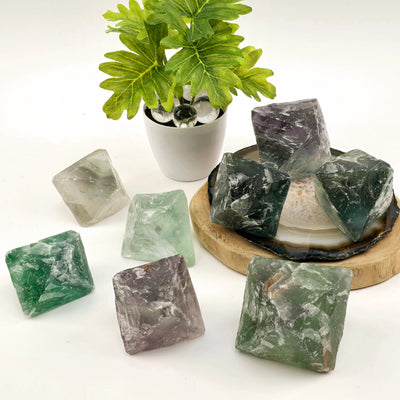 Fluorite Large Crystal Octahedrons - You Choose #1 all variants with props and plants