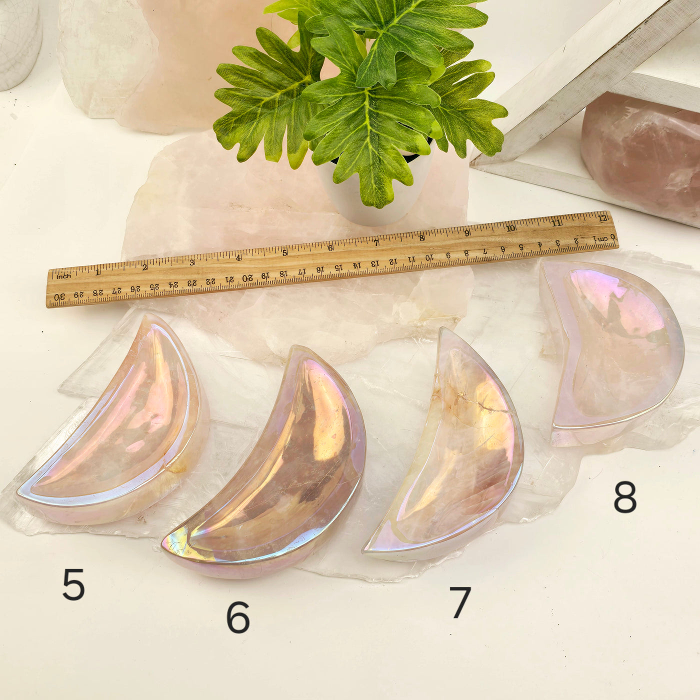 Angel Aura Rose Quartz Moon Bowls - You Choose #1 variants 5, 6, 7, and 8 labeled with ruler for size reference