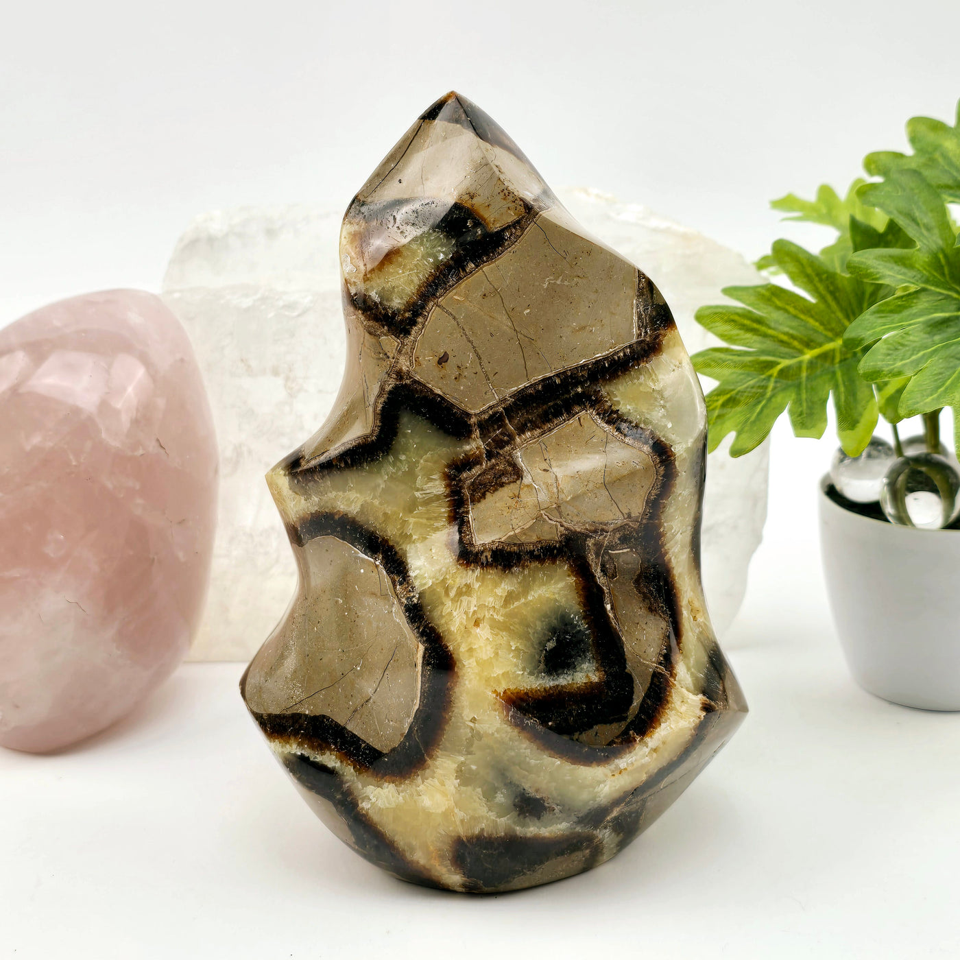 Septarian Polished Crystal Flame Tower - One-of-a-Kind front view with props and plants in the background