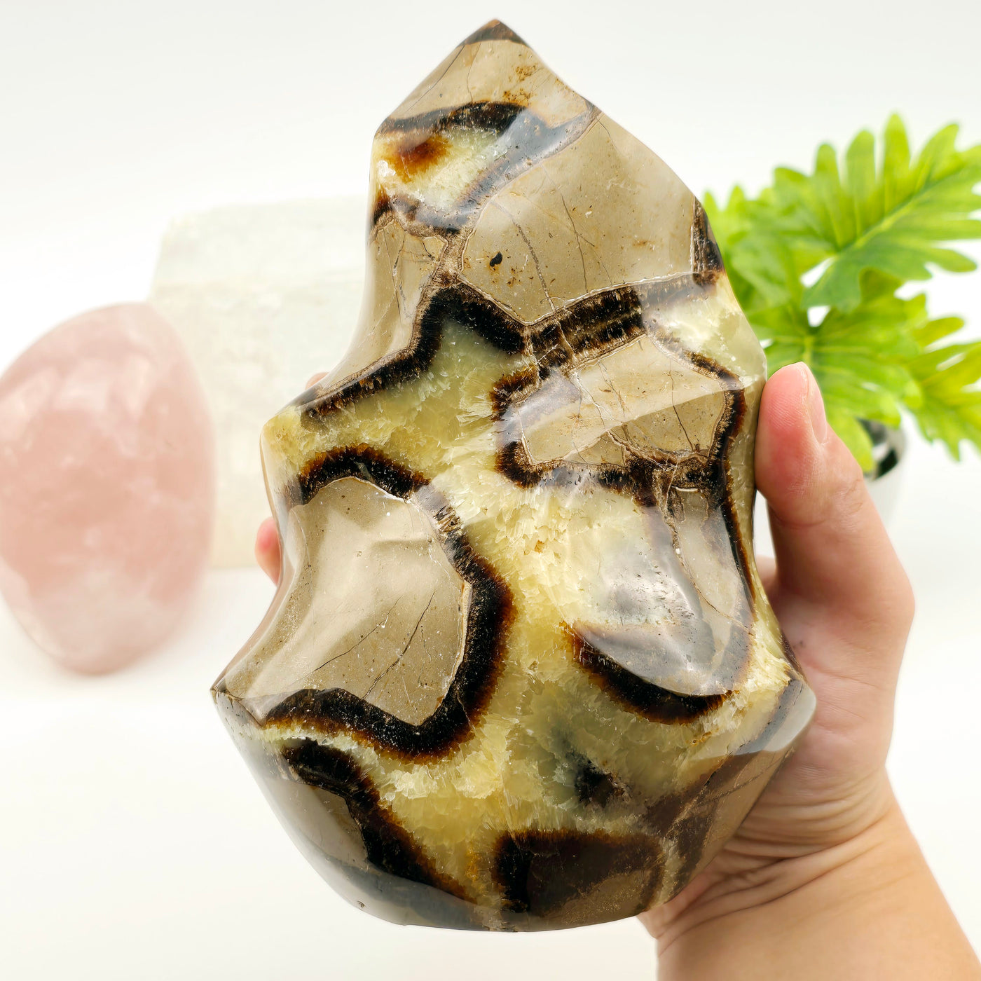 Septarian Polished Crystal Flame Tower - One-of-a-Kind in hand for size reference