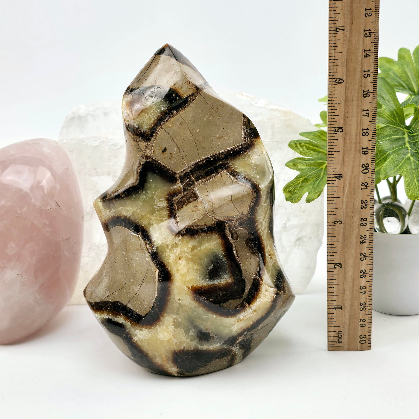 Septarian Polished Crystal Flame Tower - One-of-a-Kind with ruler for size reference