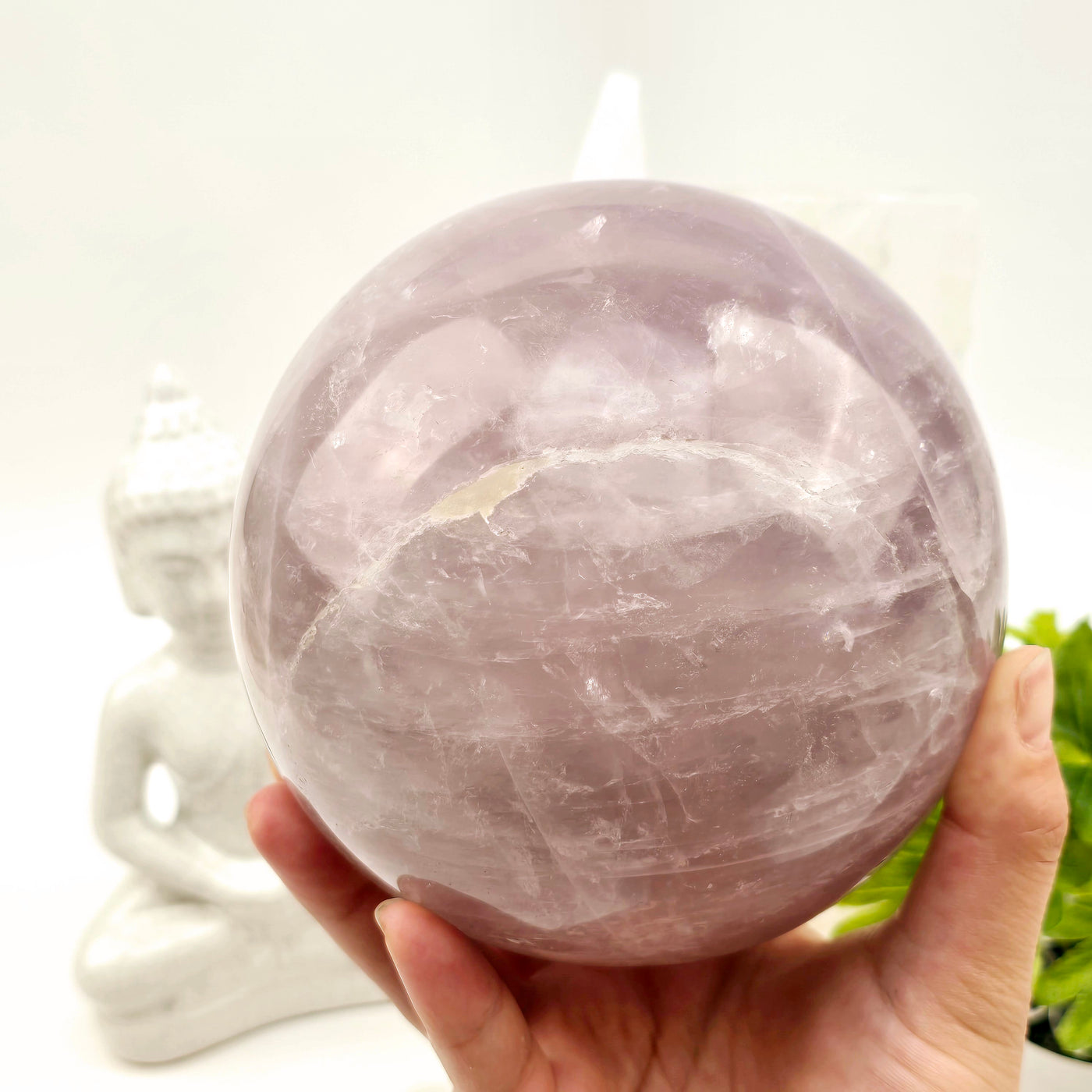 Rose Quartz Large Polished Crystal Sphere - One-of-a-Kind in hand for size reference with props and plants in the background