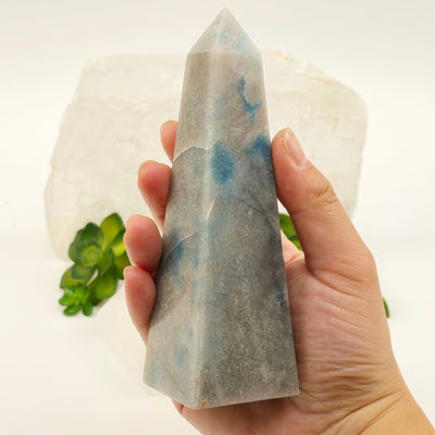 Trolleite Polished Crystal Obelisk - One-of-a-Kind in hand for size reference with props and plants in the background