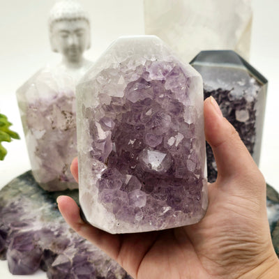 Agate Amethyst Polished Crystal Point - You Choose #1 variant 2 in hand for size reference with other variants in the background with props and plants