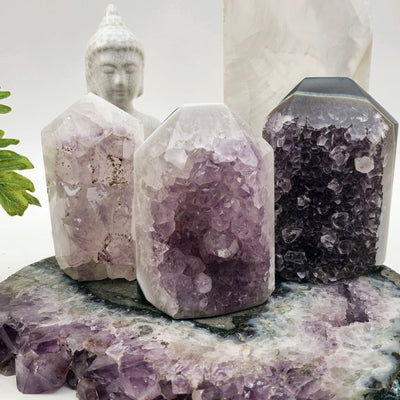 Agate Amethyst Polished Crystal Point - You Choose #1 all variants with props and plants