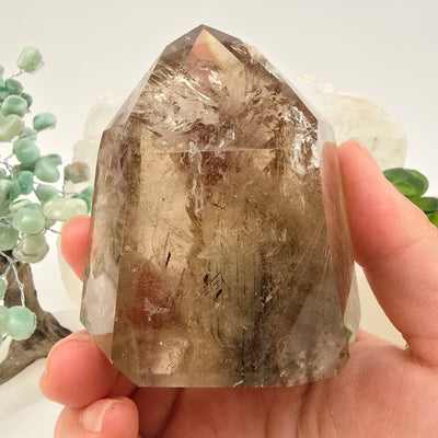 Rutilated Quartz Crystal Point with Phantoms - One-of-a-Kind #2 in hand for size reference with props and plants in the background