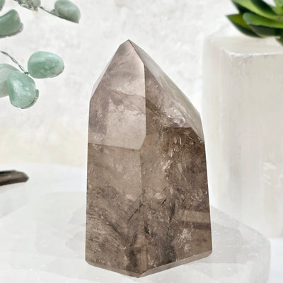 Rutilated Quartz Crystal Point with Phantoms - One-of-a-Kind #2 side view