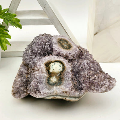 Amethyst Crystal Cluster with Stalactites Freeform - One-of-a-Kind front view with props and plants in the background