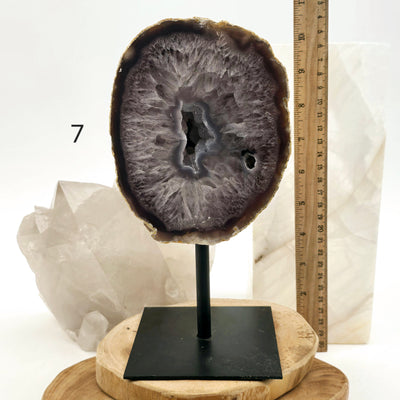 Agate Natural Crystal Geode Half on Stand - You Choose #1 variant 7 labeled with ruler for size reference