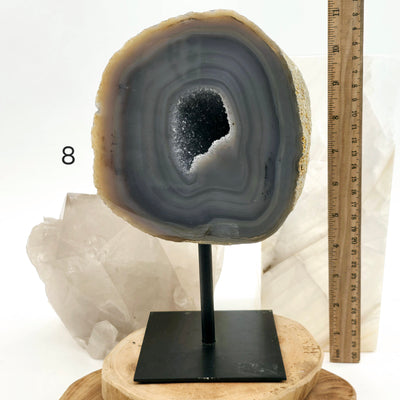 Agate Natural Crystal Geode Half on Stand - You Choose #1 variant 8 labeled with ruler for size reference