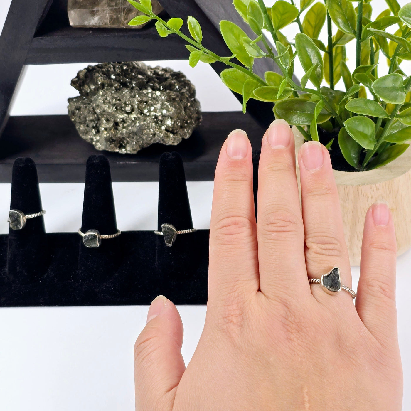 Moldavite Sterling Silver Crystal Ring - You Choose size 8 on hand with other sizes on ring stands with props and plants in the background