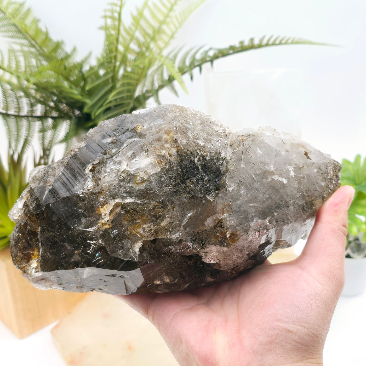 Large Elestial Alligator Fibrous Smokey Quartz Crystal with Rutile HIGH QUALITY #2 in hand for size reference with plants and props in the background