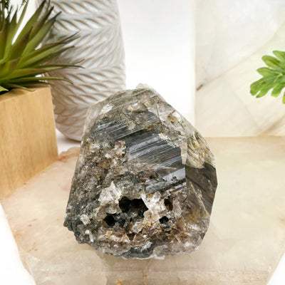 Large Elestial Alligator Fibrous Smokey Quartz Crystal with Rutile HIGH QUALITY #2 side view