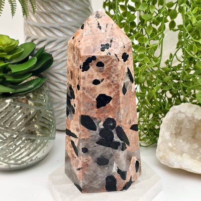 Black Tourmaline and Feldspar Polished Crystal Point - One-of-a-Kind front view with props and plants in the background